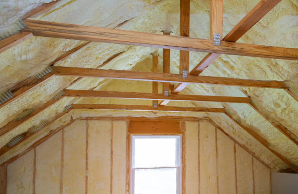 Best Home Insulation Services  in Monahans, TX