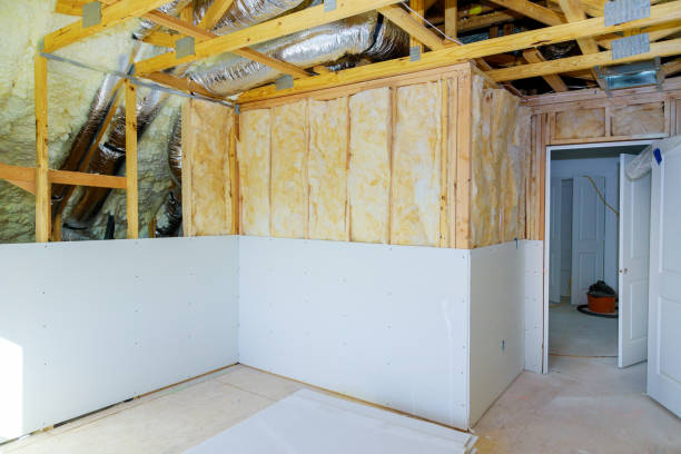 Best Local Insulation Services  in Monahans, TX