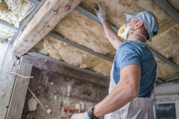 Best Residential Insulation Services  in Monahans, TX