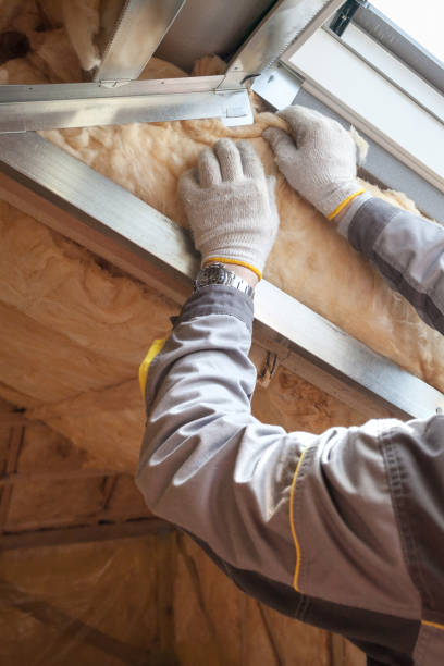 Best Spray Foam Insulation  in Monahans, TX