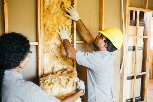 Best Home Insulation Services  in Monahans, TX